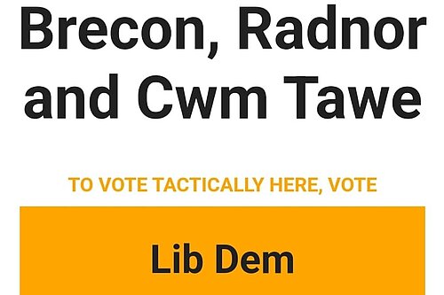 A screenshot tactical voting advice backing the Liberal Democrats in Brecon, Radnor and Cwm Tawe