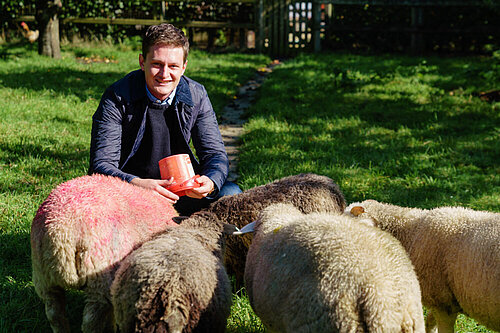 David Chadwick MP feeding sheep