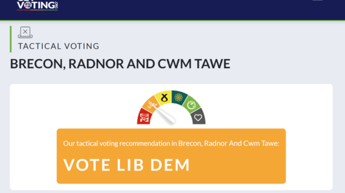 Tactical Voting Advice recommending Lib Dems in BR&CT